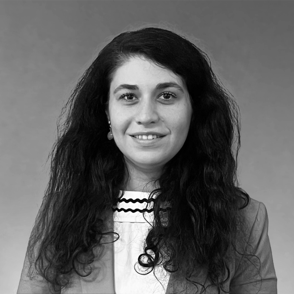 Turkan Zulfugarli